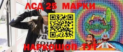бошки Гатчина