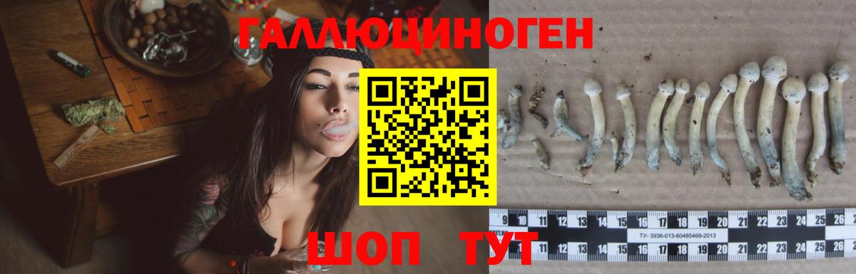 Мирный  Псилоцибиновые грибы мицелий  что такое   Вход с VPN  Галлюциногенные грибы ЛСД 